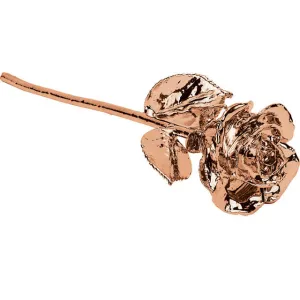 24k Rose Gold Dipped Long Stem Rose