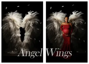 Angel Wings "Moody" Digital Background