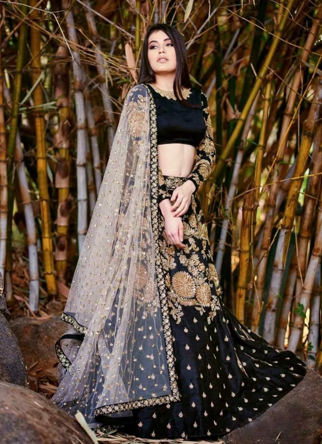 Beautiful Indian Wedding lehenga choli in Black and Gold # B1972