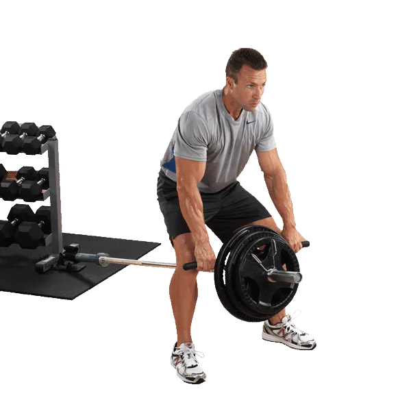Body Solid Hex System T-Bar Row - TBR Landmine Attachment