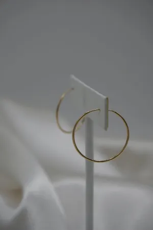 Endless Hoops