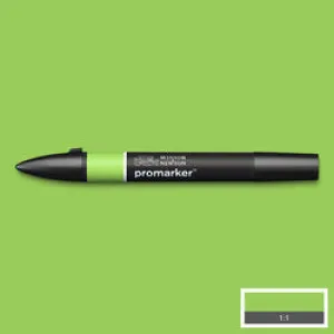 GRAPHIC MARKER PEN - Winsor & Newton ProMarker SINGLE -  LEAF GREEN (G258)