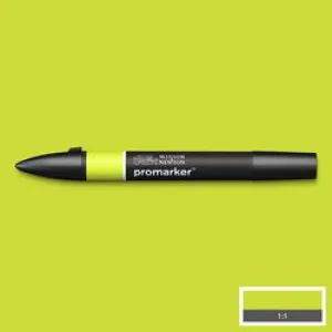 GRAPHIC MARKER PEN - Winsor & Newton ProMarker SINGLE -  LIME GREEN (G178)