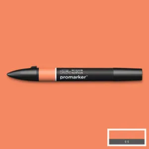 GRAPHIC MARKER PEN - Winsor & Newton ProMarker SINGLE -  MANGO (O248)