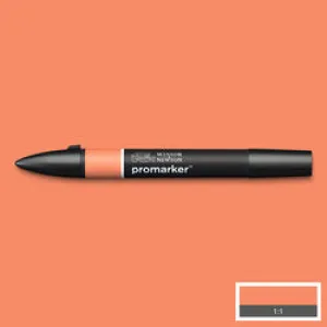 GRAPHIC MARKER PEN - Winsor & Newton ProMarker SINGLE -  PEACH (O148)