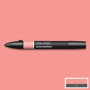 GRAPHIC MARKER PEN - Winsor & Newton ProMarker SINGLE -  SALMON PINK (R547)
