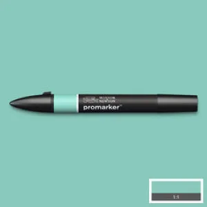 GRAPHIC MARKER PEN - Winsor & Newton ProMarker SINGLE -  SOFT GREEN (G817)