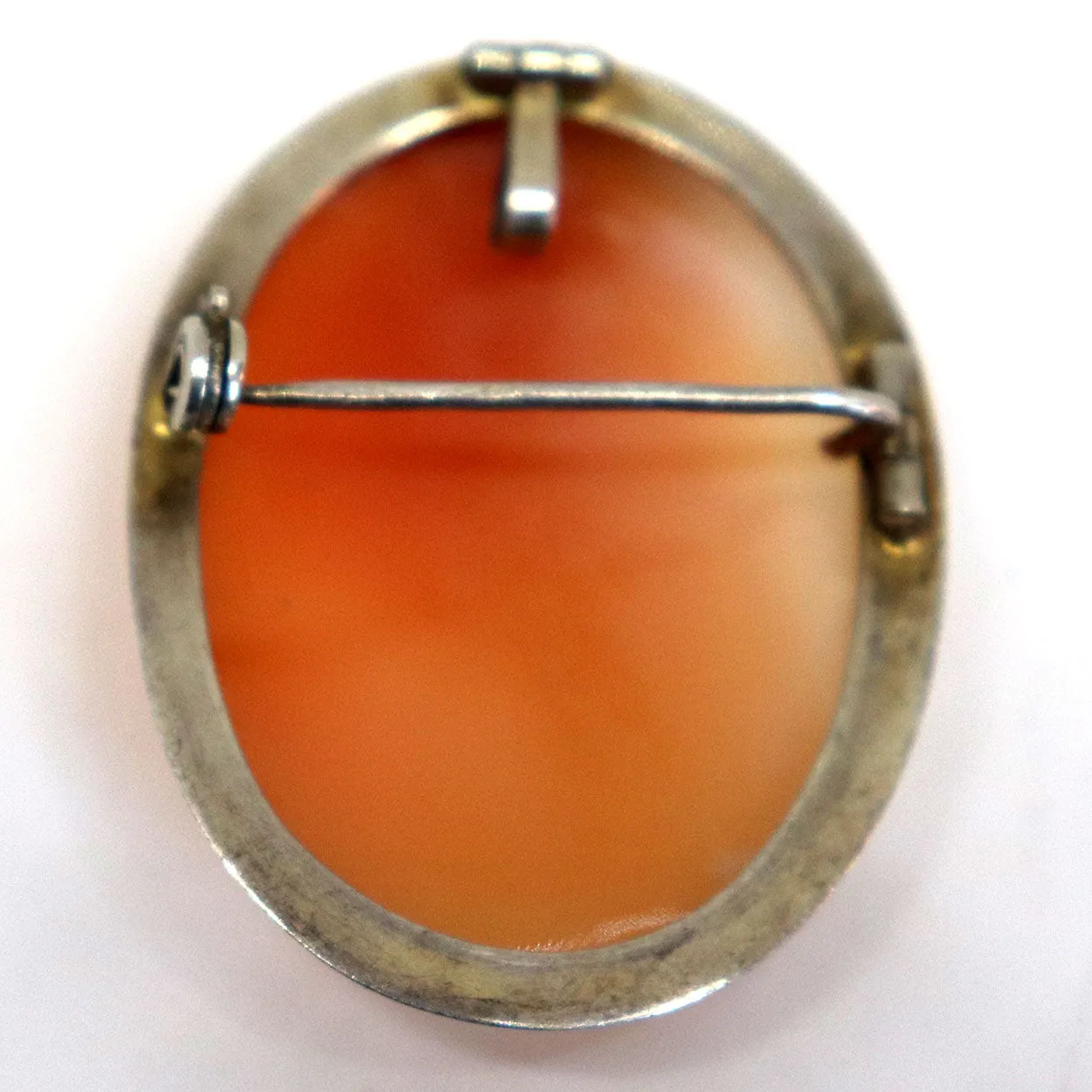 Italian Art Nouveau Gold Filled Cameo Brooch / Necklace Pendant of a Lady