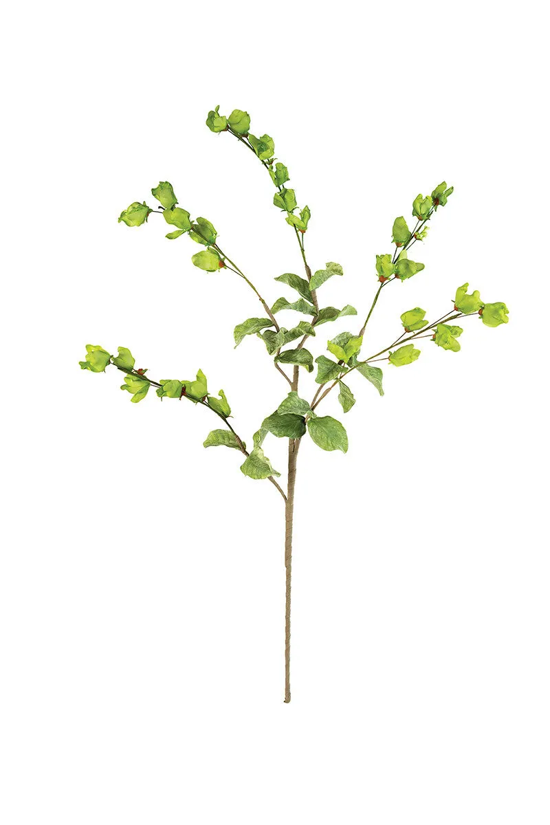 Leafy Limb