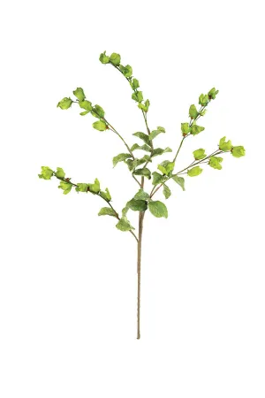 Leafy Limb