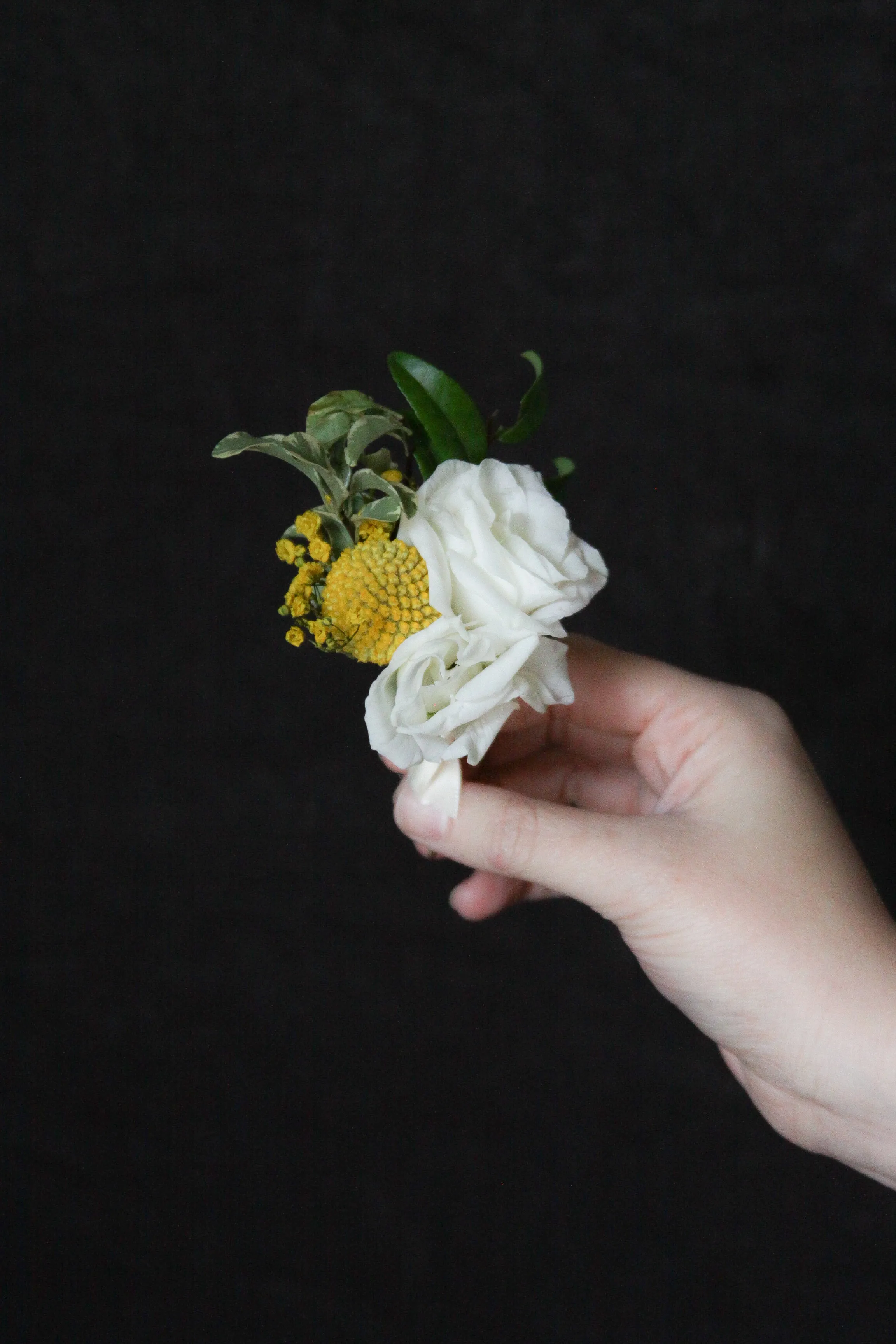 Mellow Yellow: Package