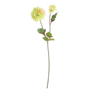 Napa Home Garden, DAHLIA STEM 19" LT GRN,gp288grl