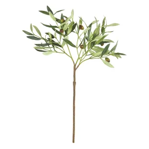 Napa Home Garden, OLIVE 22" STEM W OLIVES,k207