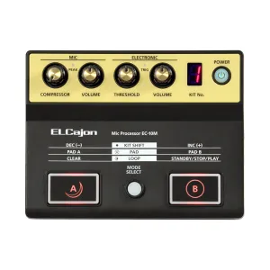 Roland El-Cajon Mic Processor