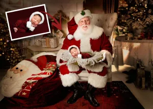 Santa Gold Bowl (Ana Brandt Digital)