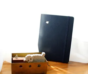 The Little Prince Diary_365 Days 2012 Simple