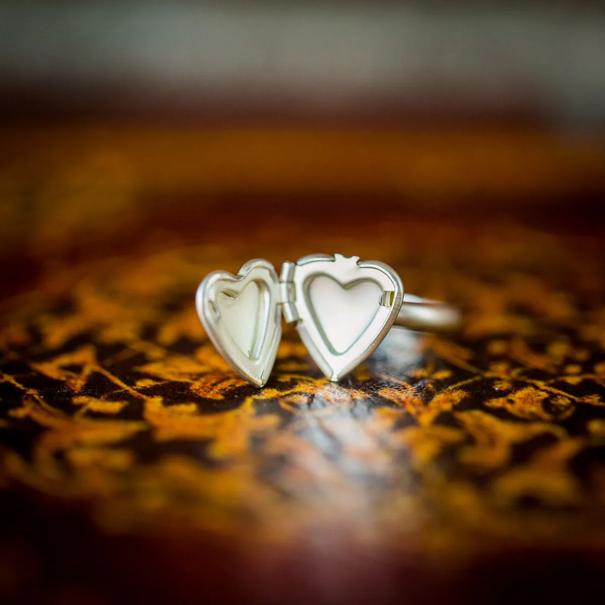 The Lorelie Locket Ring (Brass and Silver)