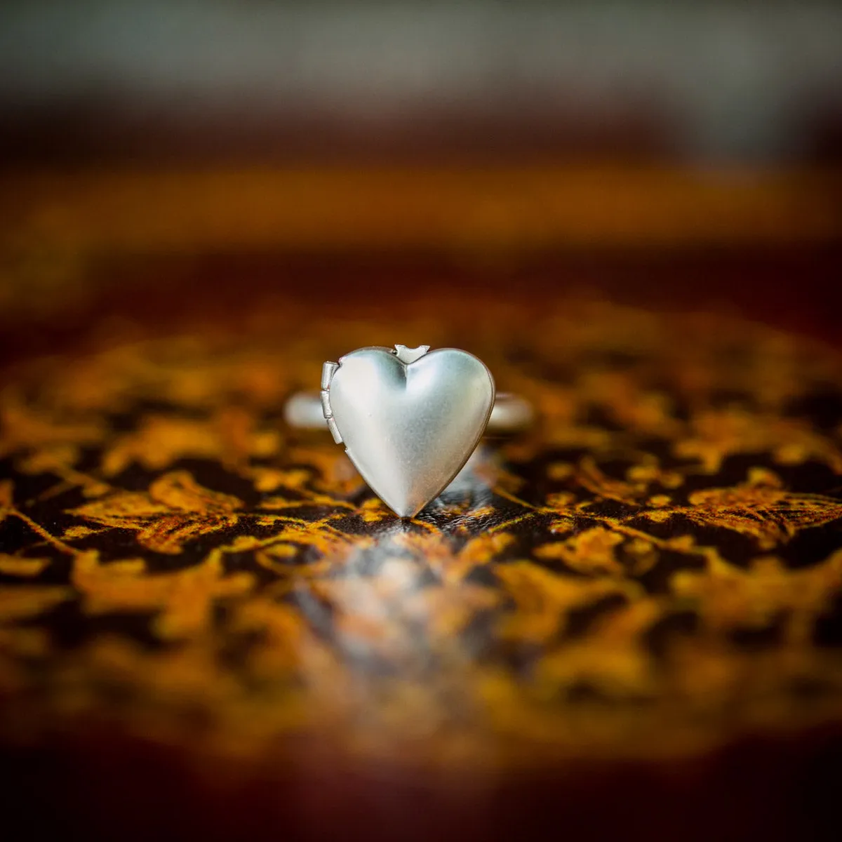 The Lorelie Locket Ring (Brass and Silver)