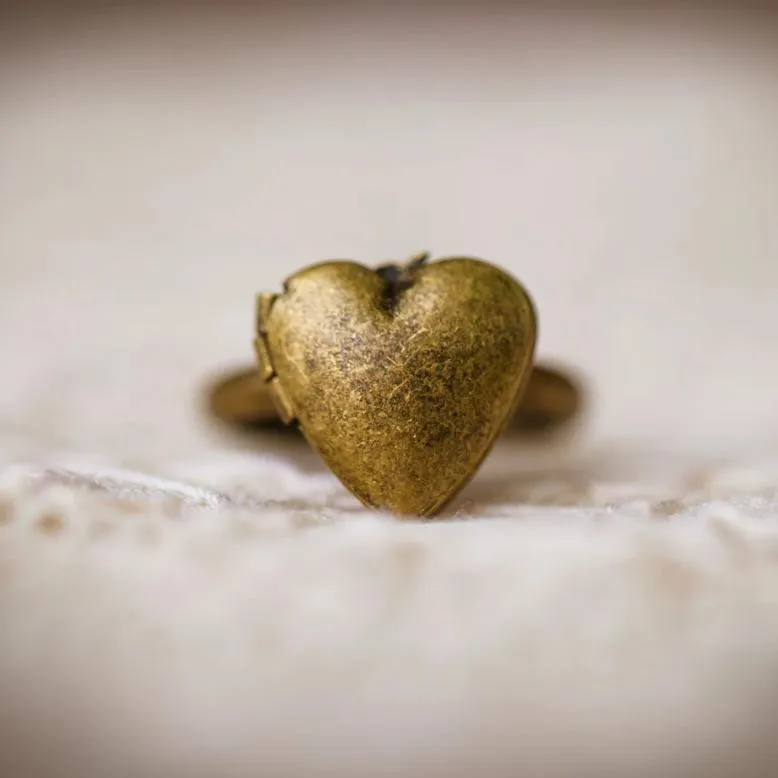 The Lorelie Locket Ring (Brass and Silver)