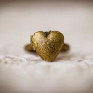 The Lorelie Locket Ring (Brass and Silver)