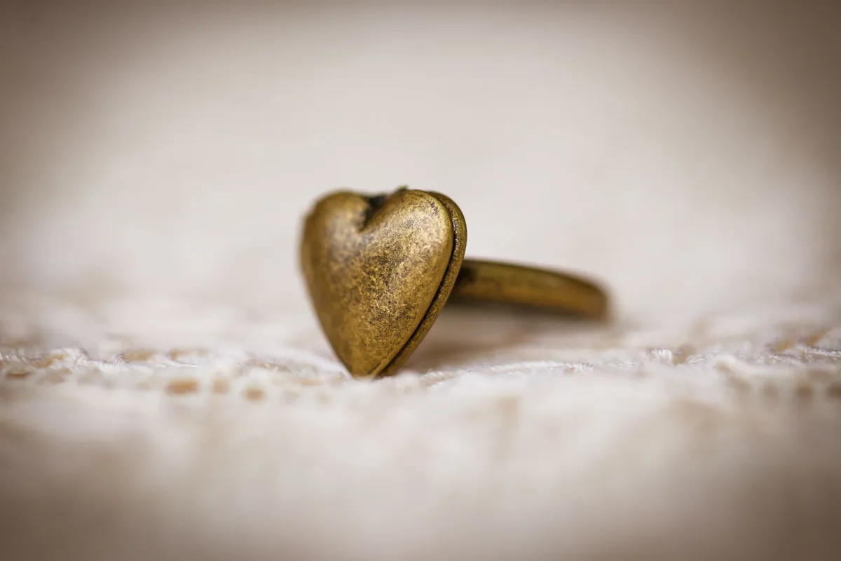 The Lorelie Locket Ring (Brass and Silver)