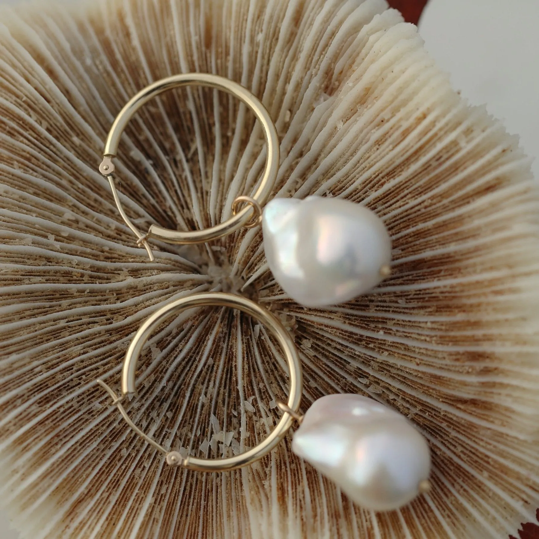 The Ursa Major Earring in Solid Gold